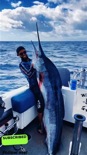 Giant Marlin Catch 😱 | Once in a Lifetime Fishing! || #fishing #bigfish