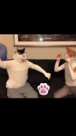 My Cats Fighting Over Water Got WAY Too Real 🤣🤣 #shorts