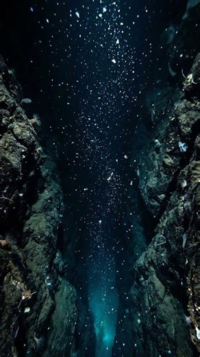 Why the Deep Sea is More Alien Than Mars: Uncovering the Secrets of Earth's Final Frontier