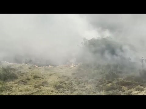 More than 120 homes destroyed as wildfires continue to ravage south Georgia