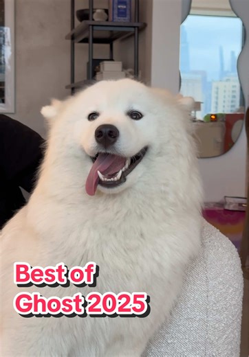 Exploring the World of Ghosts in 2025