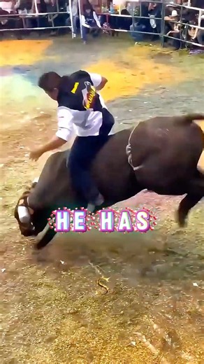 What If This Was His Last Time in the Arena? 🥹🐂