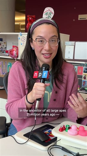 What’s in a kiss? Possibly 21 million years of evolution