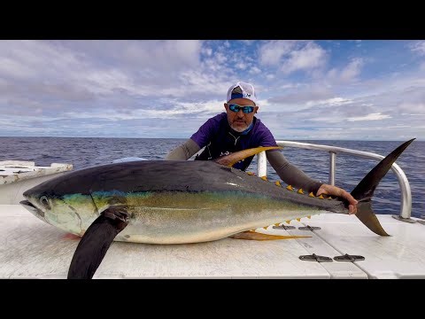 A FORÇA DESSE PEIXE É INACREDITÁVEL