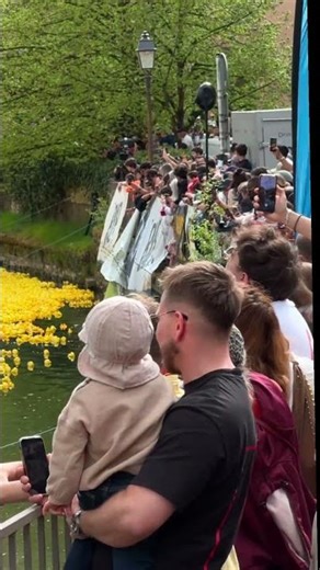 🦆 Duck Race, Luxembourg 🇱🇺