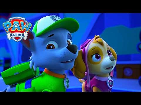 The Lights are OUT! Can Rocky and Skye Fix Them?? | PAW Patrol | Compilation