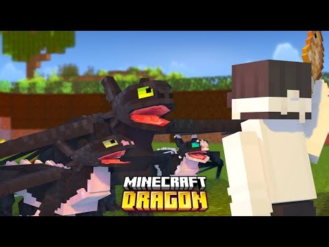 Minecraft How To Train Your Dragon - SPECIAL EPISODE! Ep15