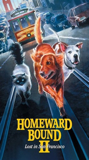 HOMEWARD BOUND II: LOST IN SAN FRANCISCO MOVIE REVIEW #shorts