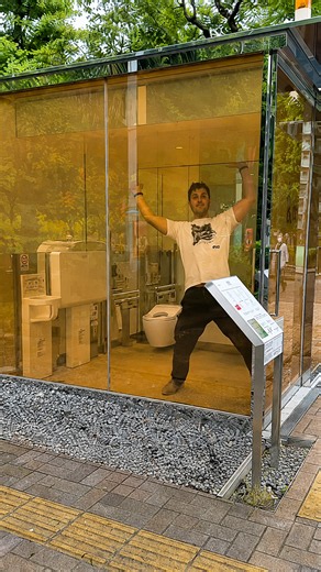 Putting Japan's glass privacy toilet to the test