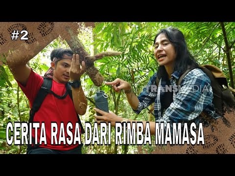 CERITA RASA DARI RIMBA MAMASA | JEJAK PETUALANG (12/04/26) Part 2
