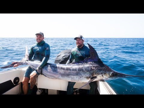 SPEARFISHING A MARLIN | Wild catch clean & cook !