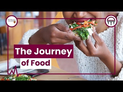 The Journey of Food