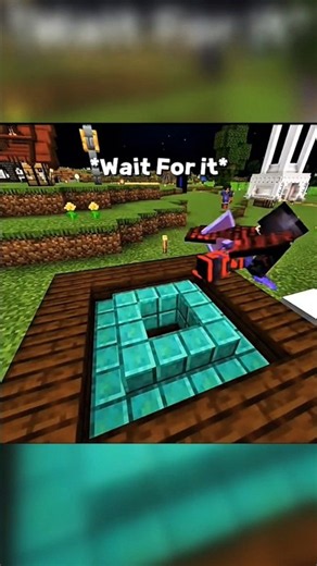 Judelow Eltra Farming Trap #minecraft #usa