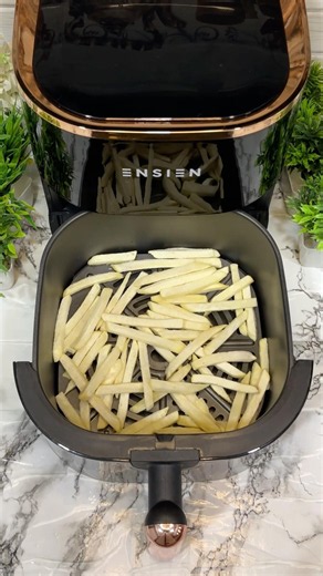 Crispy French Fries in ENSIEN Air Fryer! 🍟 Best Budget Air Fryer