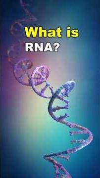 WHAT IS RNA?