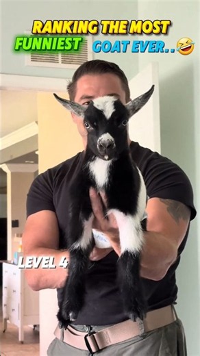 Screaming Goats vs Humans: Ultimate Ranking 🐐 #FunnyGoats #GoatMoments