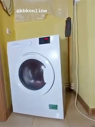 funny video 😂😂😂 (1618)