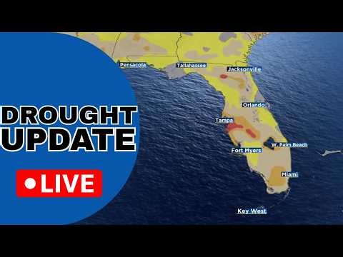 🔴FLORIDA WEATHER LIVE | The Drought In Florida Is Changing