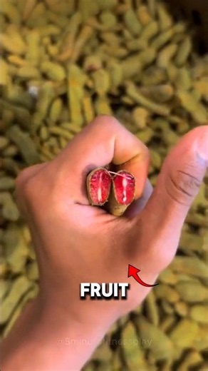 Why You Need to Know About These 5 Fruits #nutrition #healthyeating