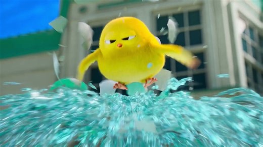 30 ثانیه از گردش سگ ها