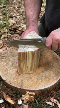 Genius Windproof & Waterproof Fire Starter Idea! #camping #survival #skills