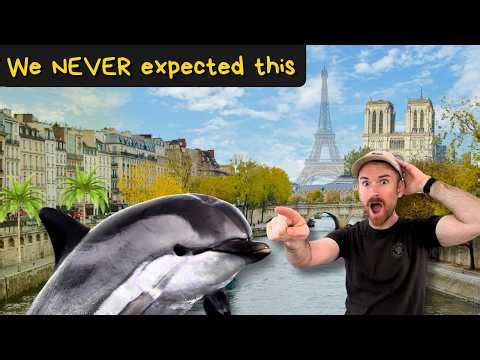 France Is Completely Different Everywhere You Go