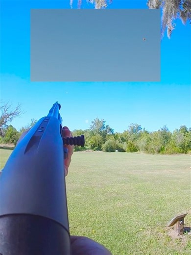 Beretta a400 vs 5 stand