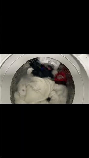 Oddly Satisfying Washing Machine