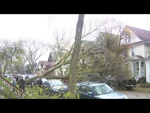Storm damage from wind gusts on Milwaukee's south side | FOX6 News Milwaukee