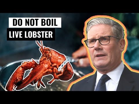The UK Bans Boiling Live Lobsters and Crabs, Why?