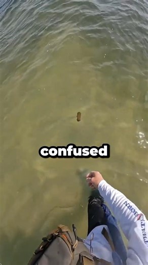 The moment he realized his mistake 🤣