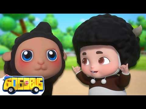Baa Baa Black Sheep Song | More GoGoBus Nursery Rhymes For Kids