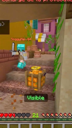 CACHE CACHE : COURSE POURSUITE avec DUTCH 😱 #minecraft #cachecache