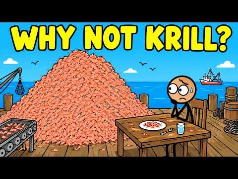 Why Don't We Eat Krill?