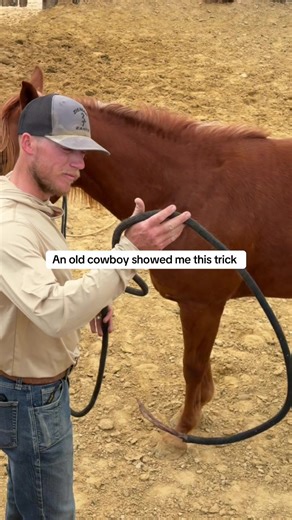 Cowboy Tricks for Colt Starting