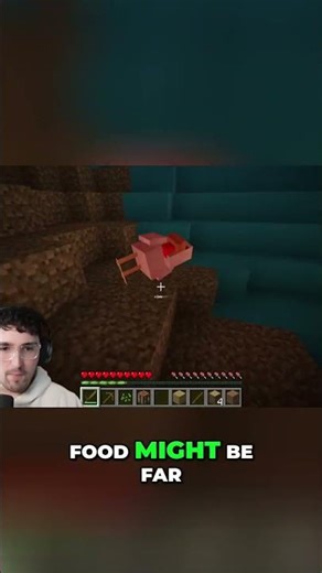 A Cursed Minecraft World