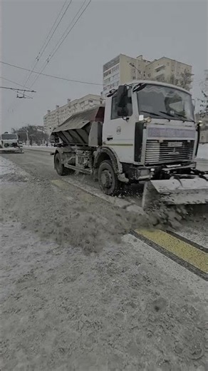 The Snowplow's Hidden Partner: Spot the Unexpected Vehicle in Plain Sight