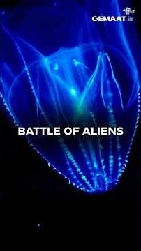 BATTLE OF ALIENS