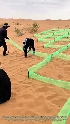 Gridding the Dunes: How a Green Mesh Fence Stops the Desert Wind