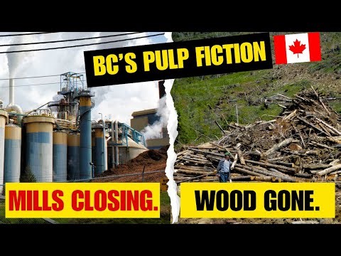 Why BC’s Pulp Mills Are Failing (And It’s Not What You’re Told) - Crofton won't be the last to fall