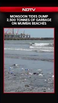 Monsoon Tides Dump 2,500 Tonnes Of Garbage On Mumbai Beaches