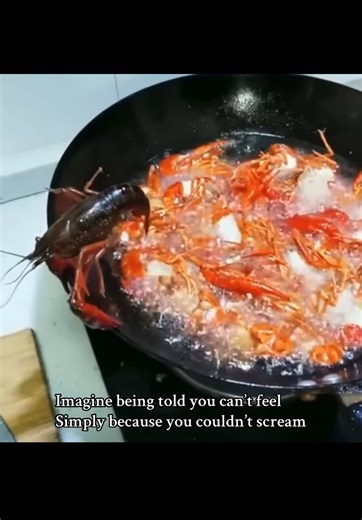 [READ HERE] Substantial scientific evidence shows fish and crustaceans possess nociceptors (pain receptors) and neurobiological pathways, including neurotransmitters and opioids, that allow them to sense and respond to harmful stimuli as pain, not just simple reflexes, leading many scientific bodies to support treating them as sentient beings capable of suffering. So why are you still paying for their suffering? #fyp #viral #fish #fishing #sushi