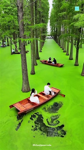 Travel Places That Seem Unreal ✈️
