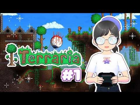 【Terraria】Starting from Zero to Moon Lord🌲🌳🌖 #02