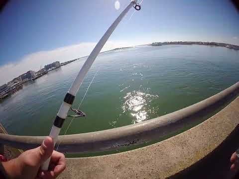 OC Bridge Chaos! 😱 GoPro Watches Another Camera Go SPLASH In The Water! | Chest Cam Part 1 | 2-28-26