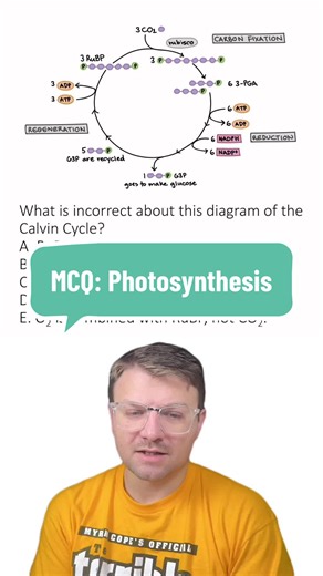 MCQ: Photosynthesis Diagram #photosynthesis #biology #science #teaching #stem