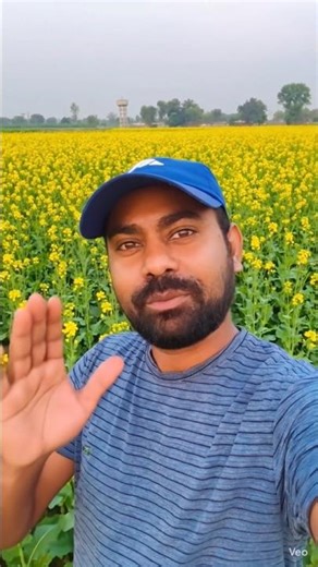 How to Make Your Blog Go Viral (Tips from a 10x Blogger)