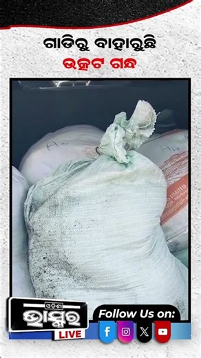 ଗାଡିରୁ ବାହାରୁଛି ଉତ୍କଟ ଗନ୍ଧ,ସିଟ୍ ଟେକି ଛାନିଆ ପୋଲିସ ମ୍ୟାଡ଼ାମ #ytshorts #shortsvideo #odishabhaskar