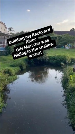 Building my Backyard River this Monster was Hiding in the Shallow Water!