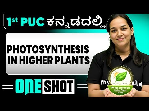 Photosynthesis in Higher Plants in One Shot | Biology | 1st PUC in Kannada